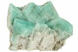 Amazonite Crystal Cluster - Percenter Claim, Colorado #214886-1